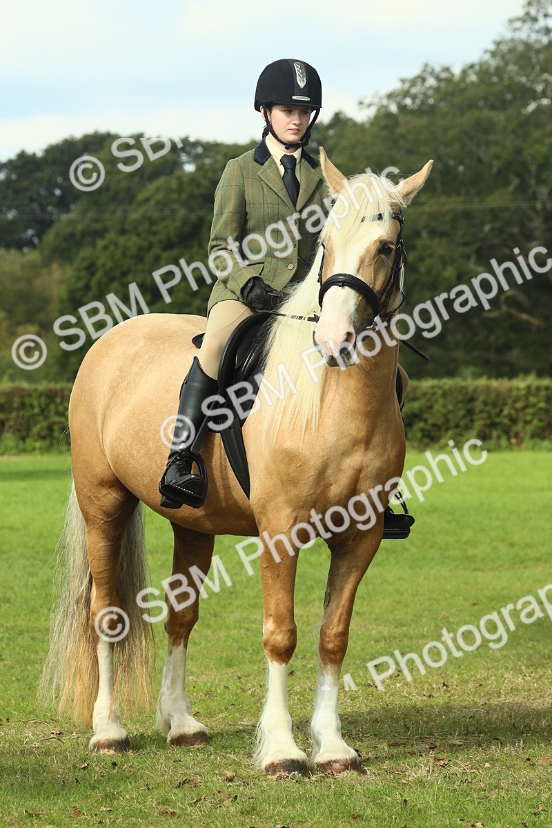 SBM_62677 - S63 - Other Coloured Horse Ridden