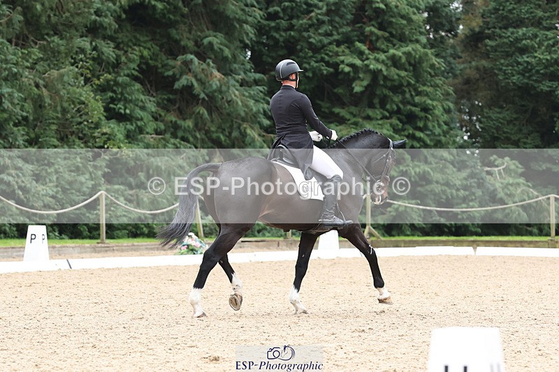 241024-134444-03932 - 216-Stephen.Heal-HISCO