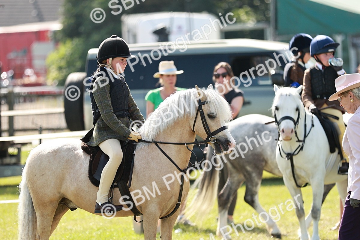 SBM_12661 - Class 106-107 - BSPS LIHS Working Sports Pony