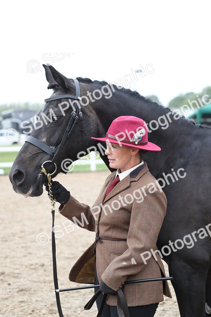 SBM_22543 - Class 604 - 2025 Area - IH Diamond