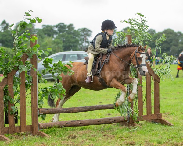 Dunblane show-93 - Dunblane and Doune Show Ring 1