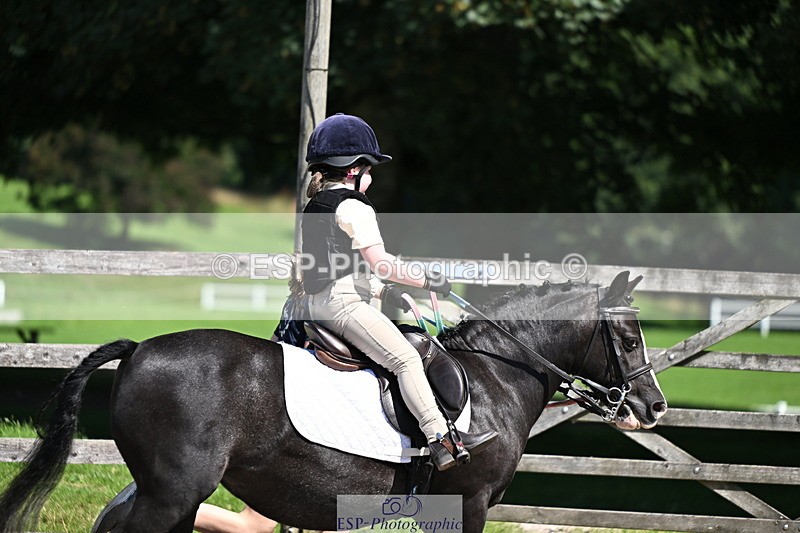 240729B-112944-02410 - Showjumping Competition