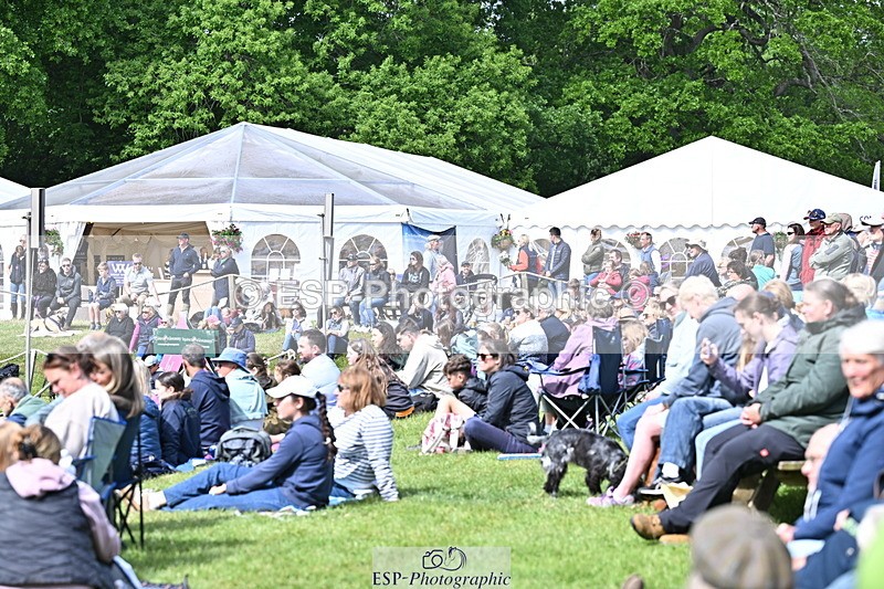 250525A-102643-15755 - Western Counties Crowds