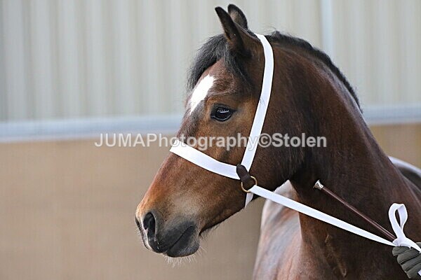 SIAL9244 - Indoor Classes