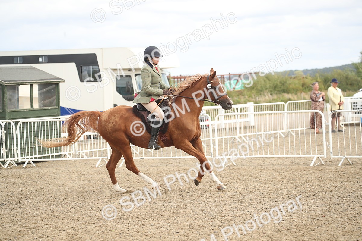 SBM_17851 - Class 508b - Working Veteran 70cm (20+)