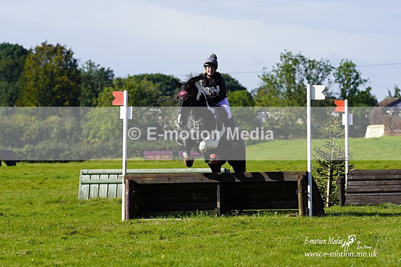  WWHT 031021 1254 - Open Novice (0.80m) 03/10/21