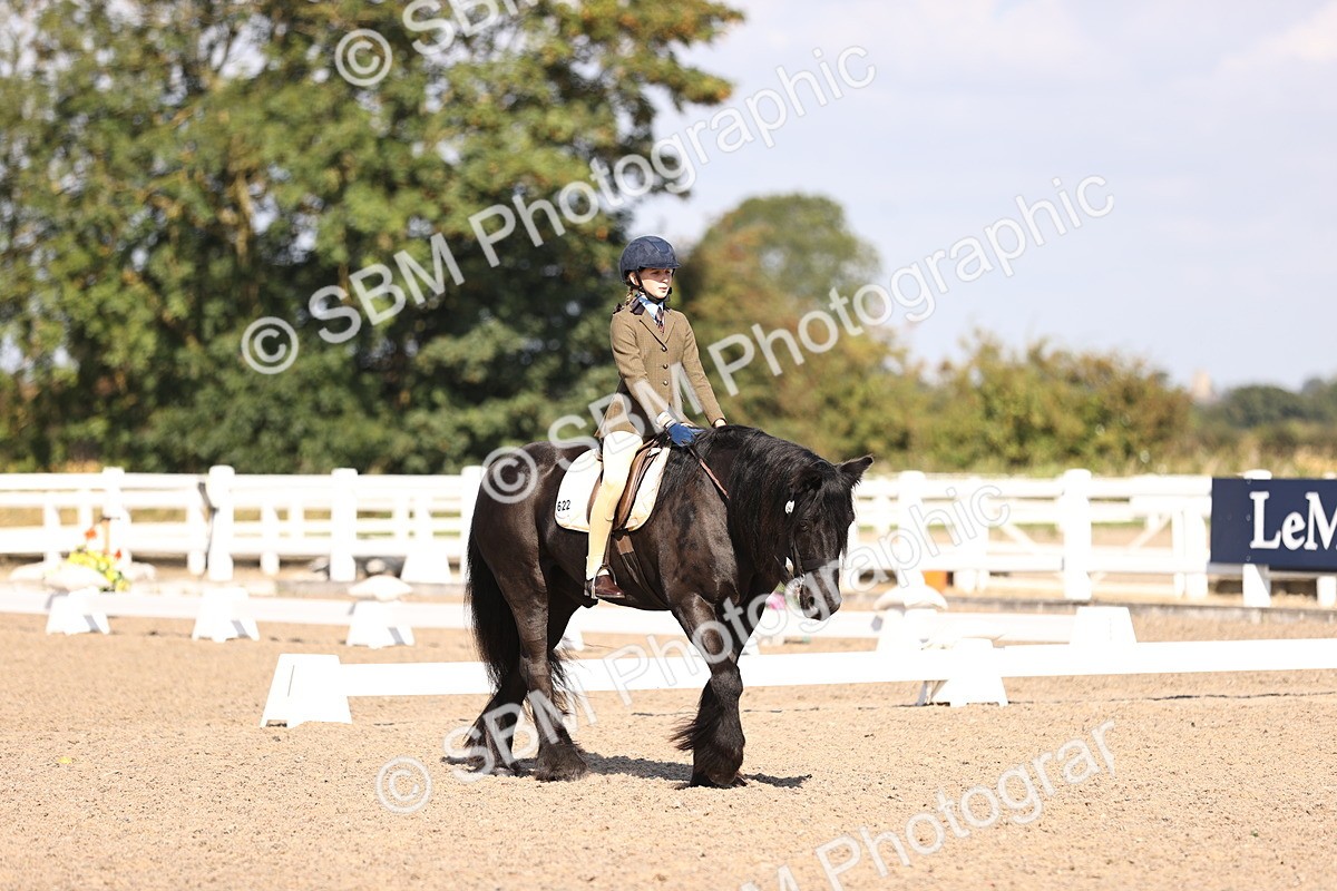 SBM_03481 - CLass 35 Intro 3