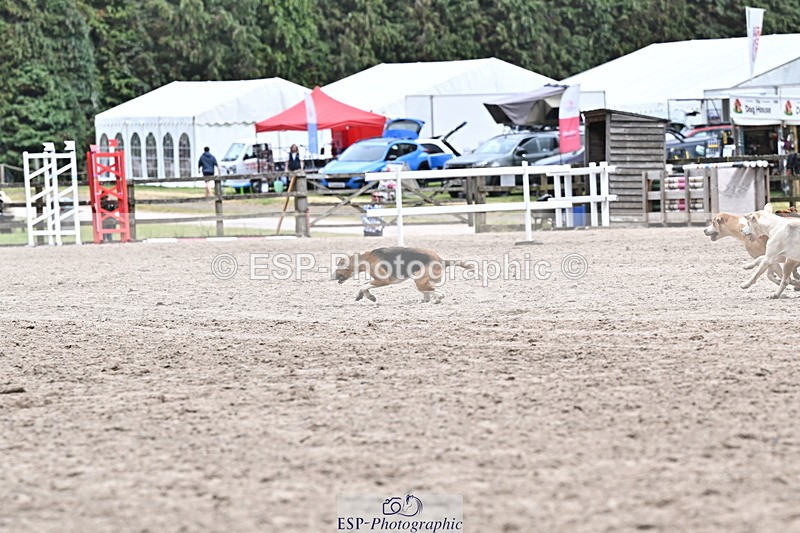 250524A-152322-12718 - East Devon Hounds