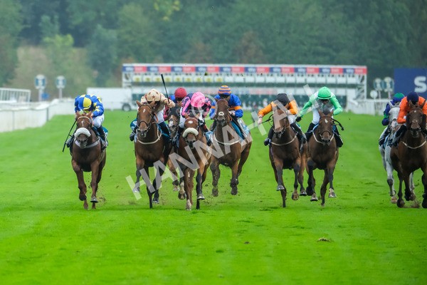 080925-Race 3-Rock N Roll Pinkie-8351 - Race 3 3.30pm Skybet Proud To Support ROR Stayers Handicap
