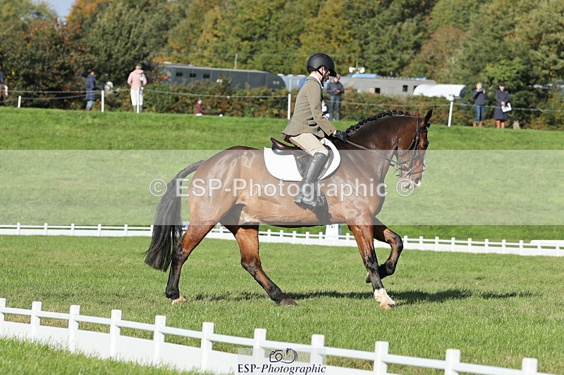 251024A-112109-09956 - D-351-Thomas.Harris