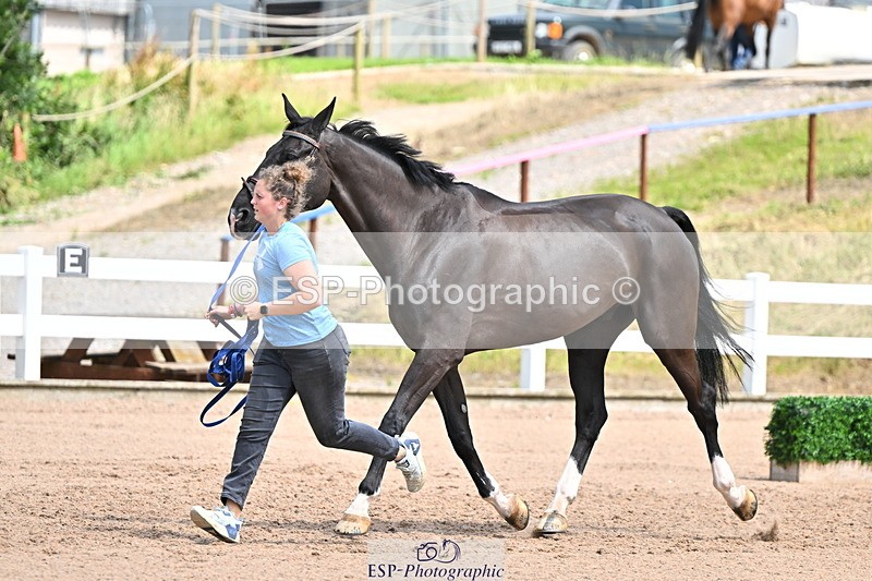 240718A-105304-01510 - Trot Up 12pm to 1pm