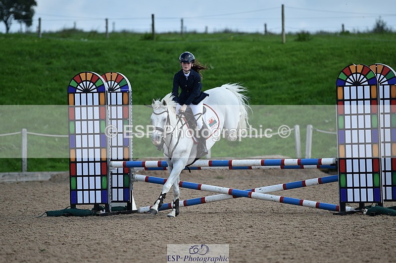 230902A-131052-01341 - Cls 3A Pony Medium 80cm