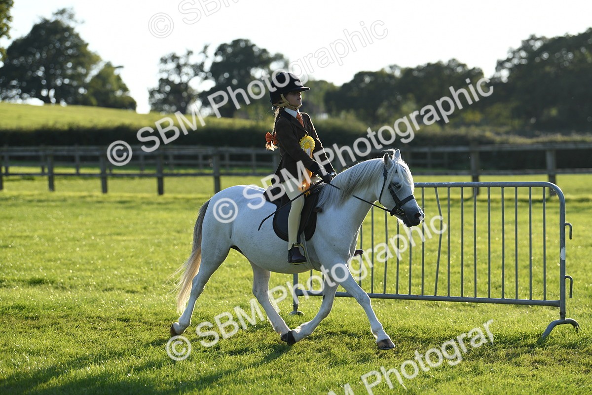 SBM_54229 - S23 - 1st Ridden Mountain & Moorland Pony