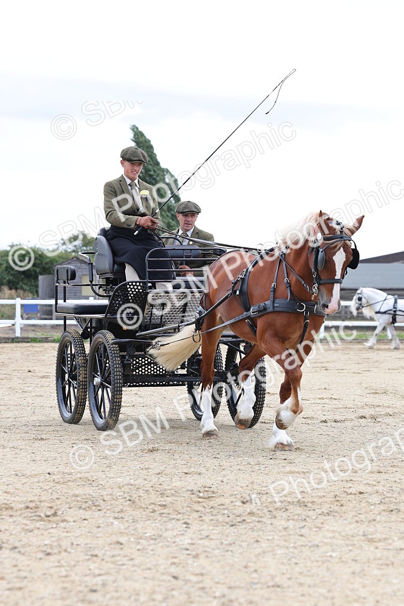 SBM_000425 - Class 4 - Junior Whip