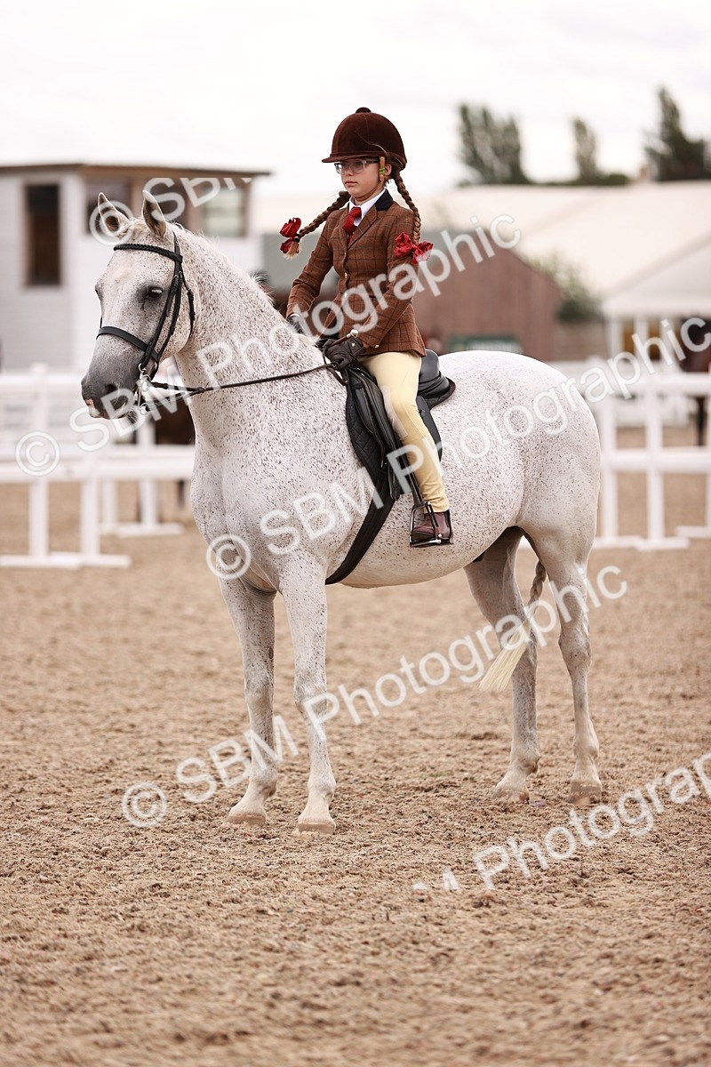 SBM_18580 - Class 421 - Childs Best Friend - Jnr