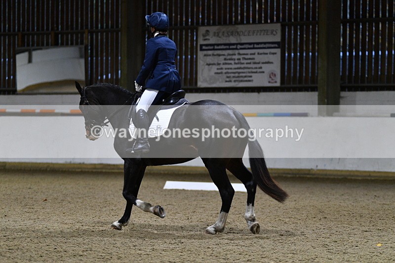 WJ5_8632 - Class 5 Novice Test 3