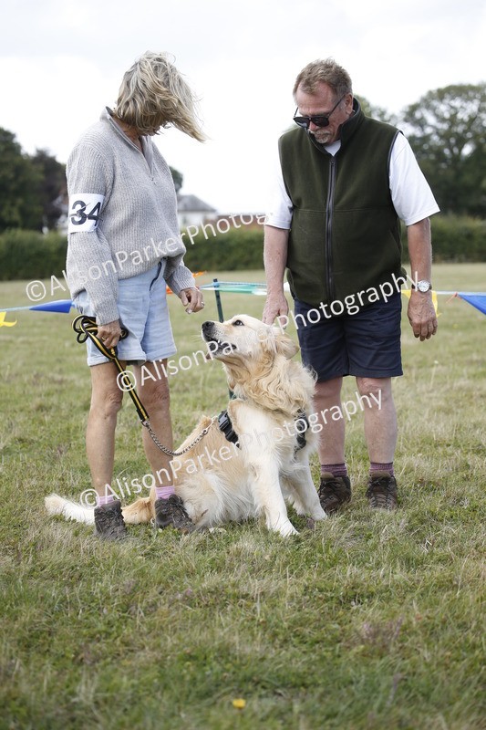 20250831-3625 - Dog Show