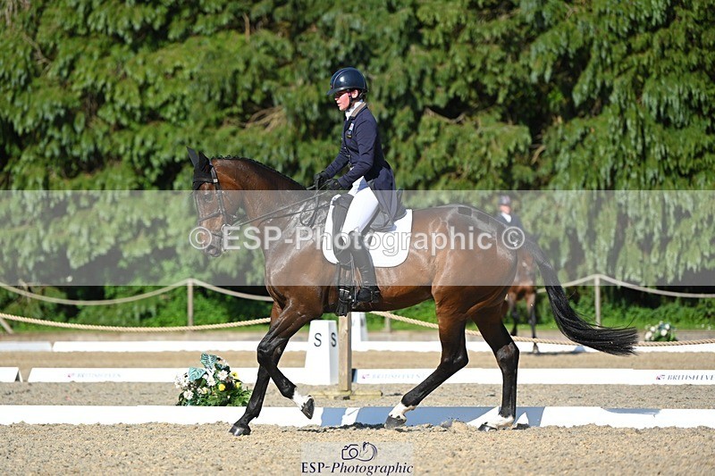 230526-172725-07610 - 263-CARWARTHEN_HARRIER-Polly_Muirhead-WEDTrotUp+DR