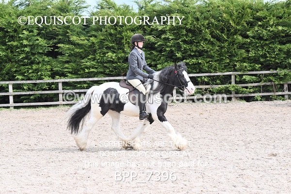 BPP_7396 - RING 1  (RIDDEN HORSES / IN HAND / VETERAN ETC)