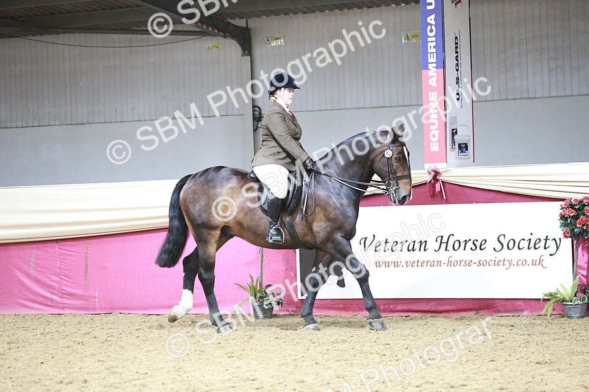 SBM_08737 - Class 12R - Regional Ridden Pre-Vet