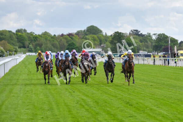 yr11052022r6-23 - Race 6 4.45pm Conundrum HR Consulting Stakes