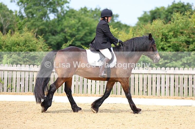 3E7A9070 - Class 2: Intro 1 2024 Section B