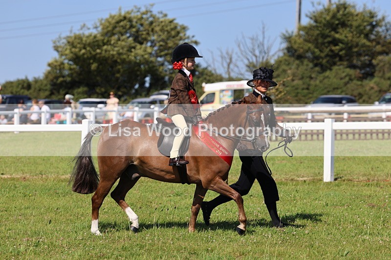 IMG_1867 - Plaited Mini Ridden Championship