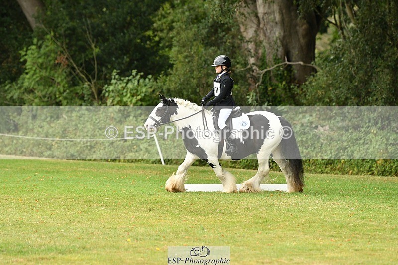 250820A-122708-05602 - 12 to 13.00