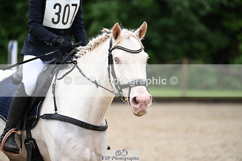 240824X-093839-23288 - 70cm Round 2 9.30 to 10.30