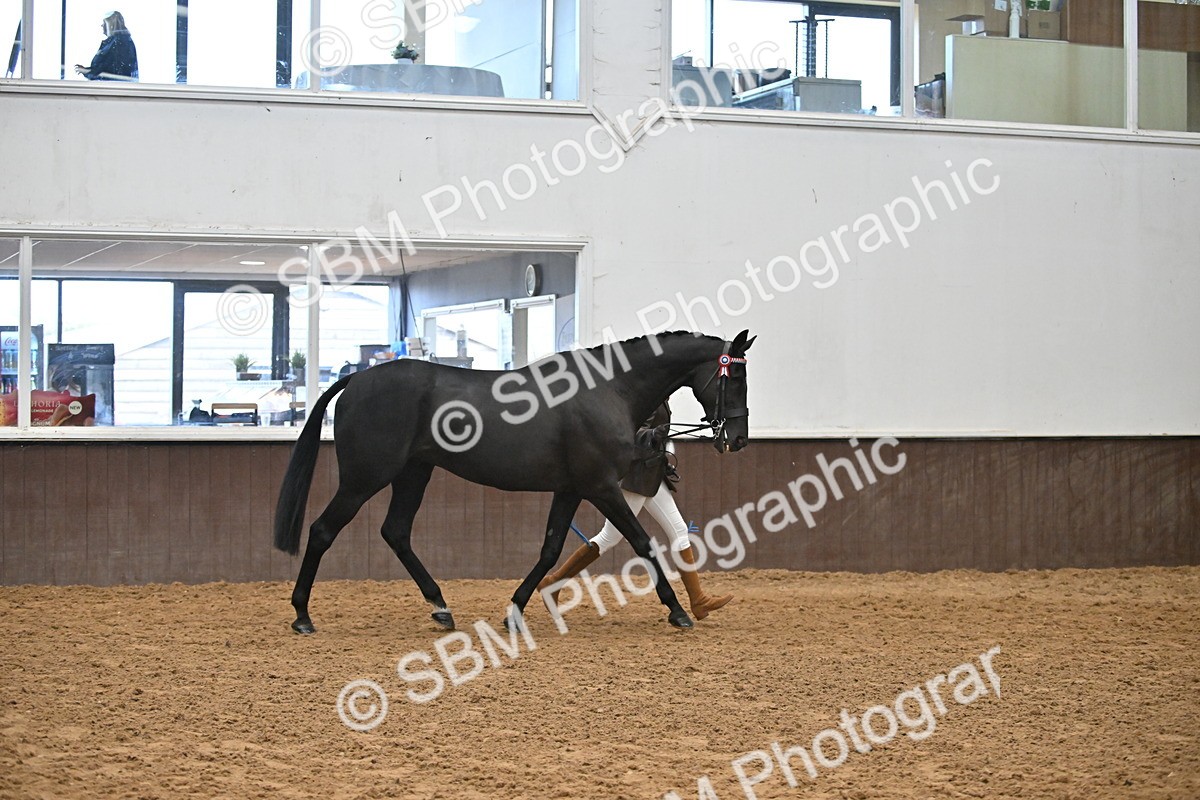 SBM_000218 - Class 7 - ROR Tattersalls In Hand