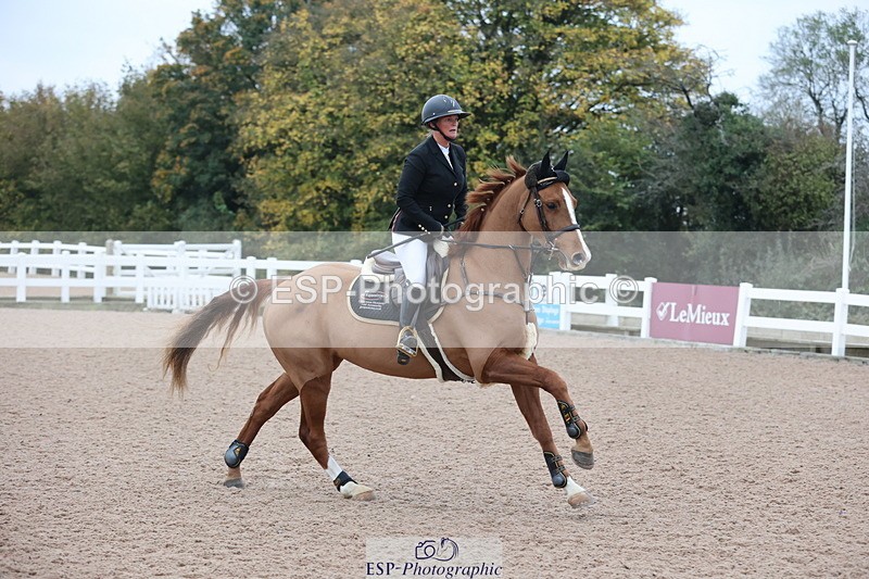 241101A-080234-00032 - FRI Cls 2 British Novice and 90cm Open