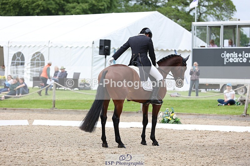 240523-145941-02994 - 231-DHI_ROCK_DANCER-Roberto_Scalisi