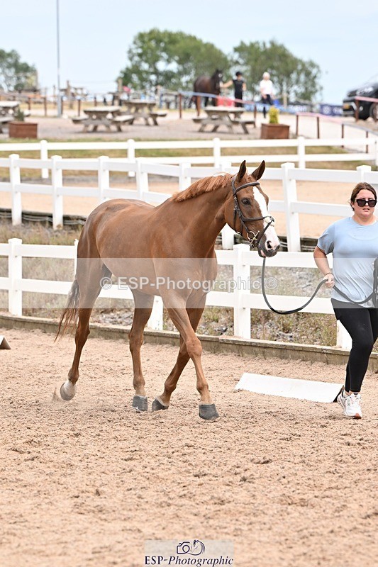 250716-144813-01409 - Trot Up 2.30 to 3.30