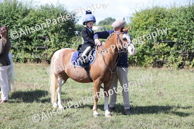20250831-3182 - Class 24 - Absolute Beginners Pony