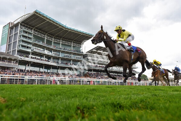 yr11062022r4-27 - Race 4 3.05pm Sky Bet Grand Cup