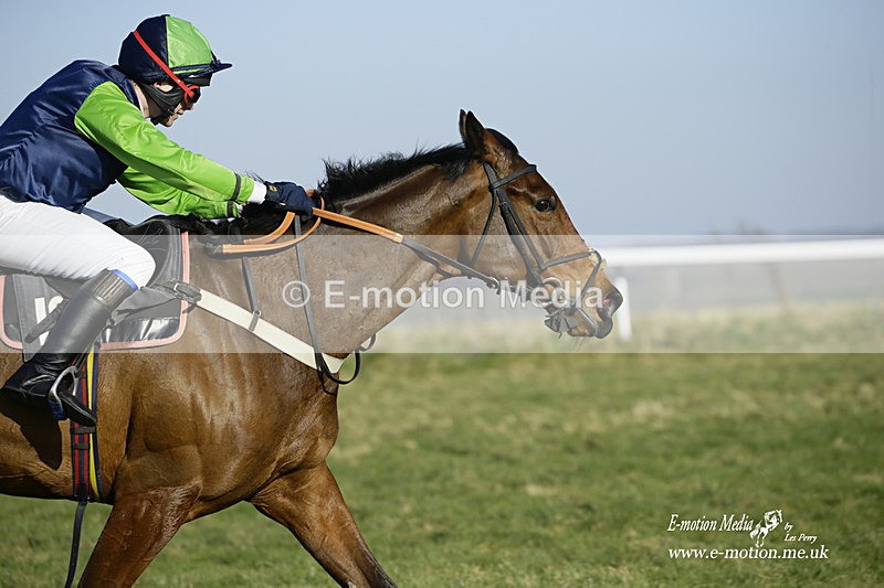 PtP 270222 242 - South & West Wilts Point-to-Point Larkhill 27/02/22