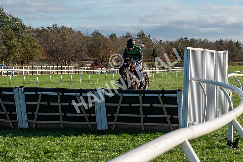 241123-Race 2-Latin Verse-7088 - Race 2