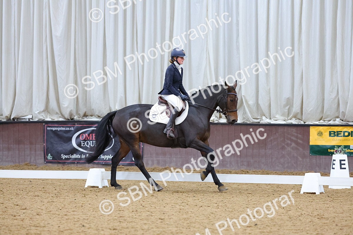 SBM_004229 - Intermediate
