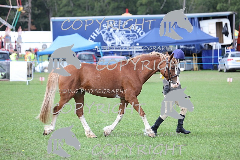 APP_2684 - Class 9 Veterans in hand