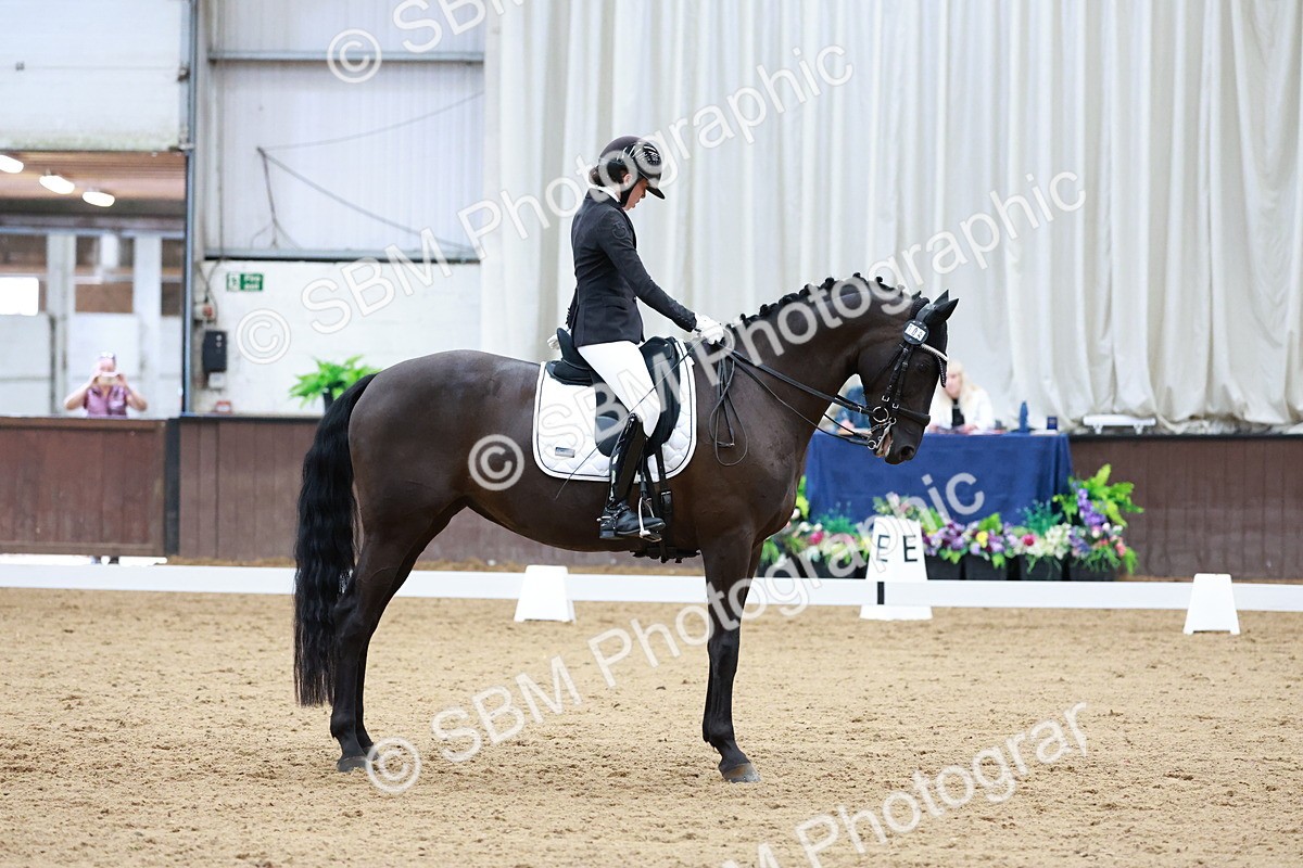 SBM_017770 - Class 15 - FEI Junior