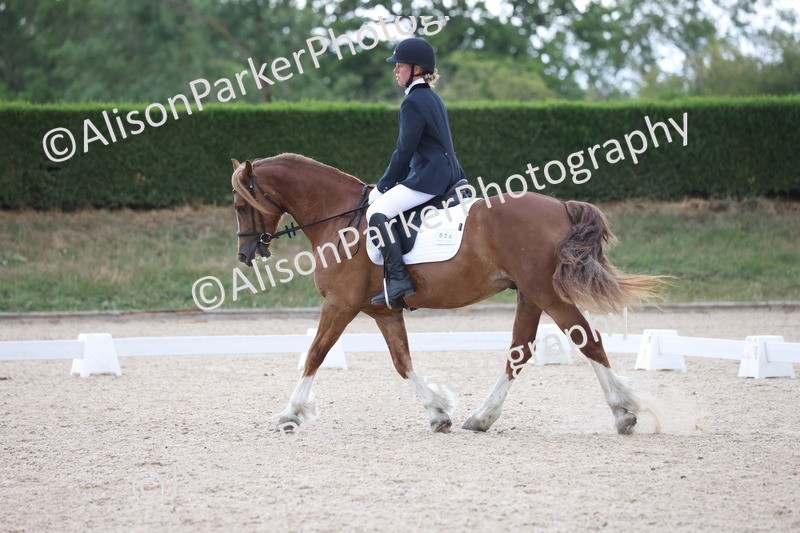 20250705-0025 - Class 1 - Intro 1