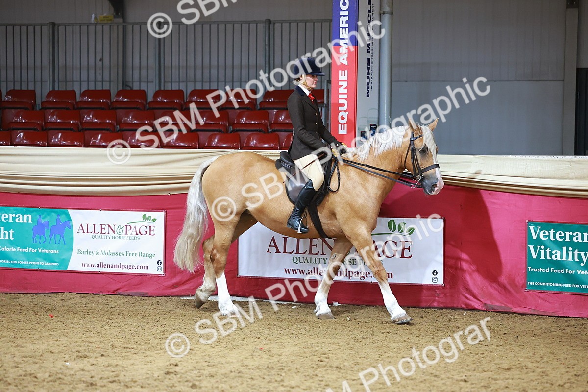 SBM_09358 - Class 102 - HOYS Veteran Qualifier - Ridden Veteran