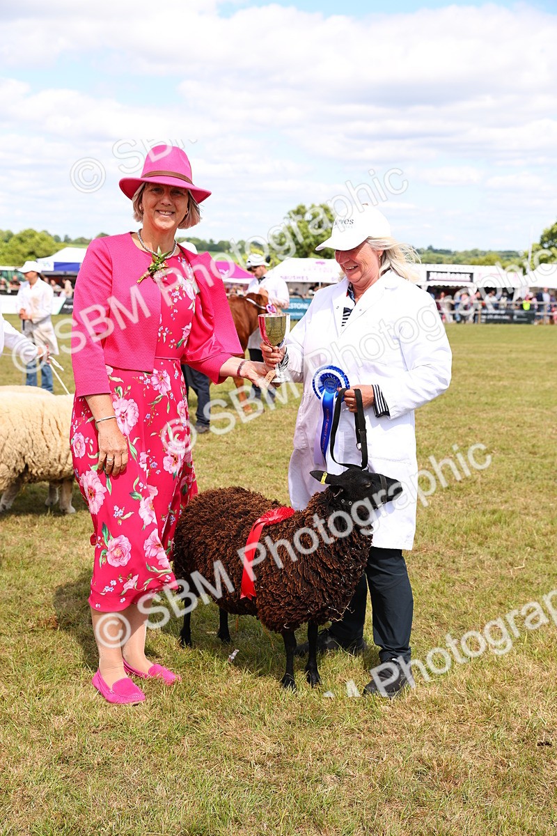 SBM_17014 - Grand Parade