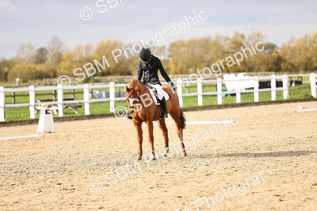 SBM_001335 - Class 2-4 - Intro 1 Intro 3