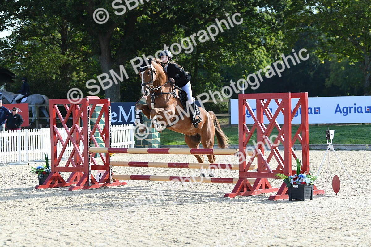SBM_60550 - j25 - Junior Horse 80cm Championship
