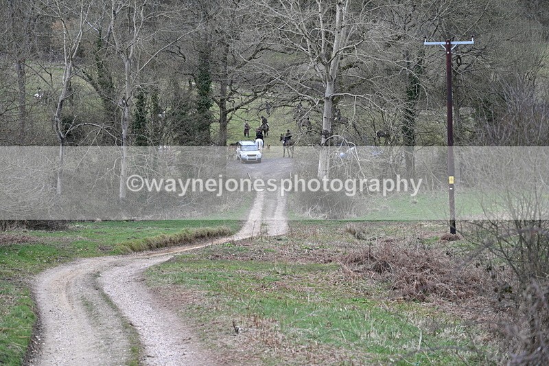 WJ7_7282 - Walk Home