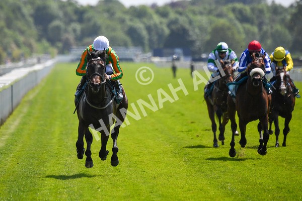 270523-Race 2-Native American-0300 - Race 2 2.10pm Collective Green Energy EBF Restricted Novice Stakes