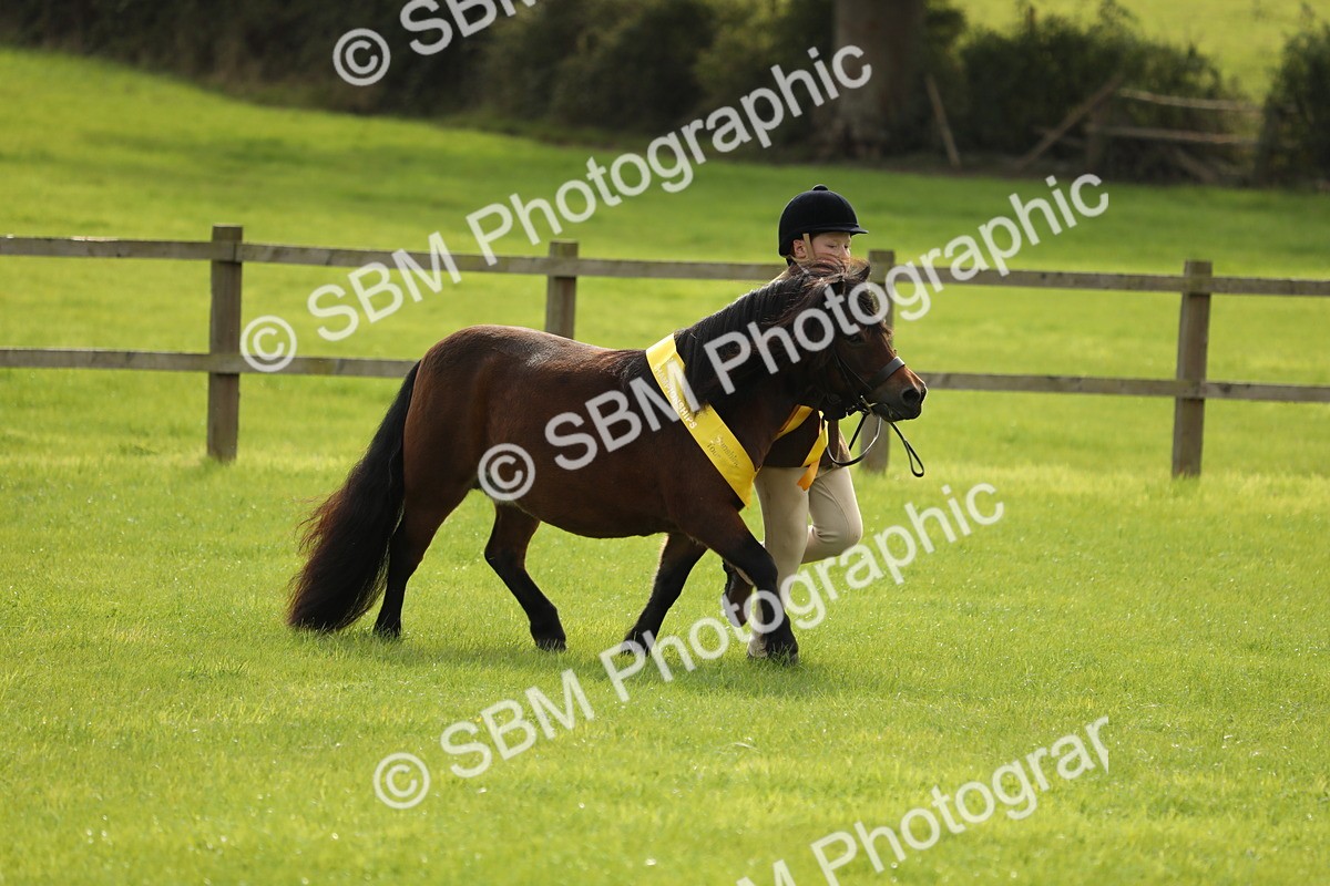 SBM_68778 - S40 - Junior Handler 9-12 Years