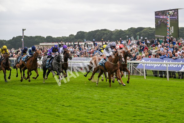 220824-Race 3-Thunder Run-7030 - Race 3 3.00pm Clipper Handicap