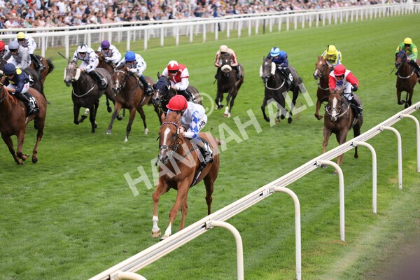 yr17082022r6-17 - Race 6 4.45 pm Celebrate ITM’s 200th IRE Voucher Winner Stakes